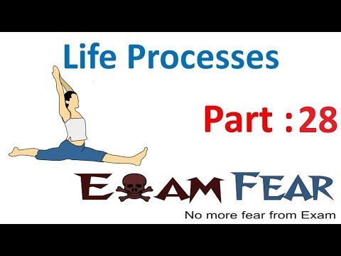 Free Video | CBSE Class 10 Science Life Processes | myCBSEguide