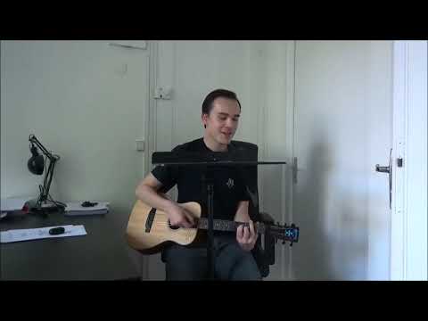 Wolves - Selena Gomez (Acoustic Cover)