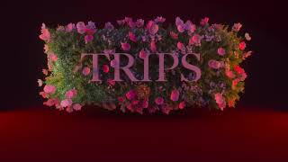 Trips Music Video