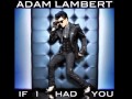 Adam Lambert If I Had You (For Your ...