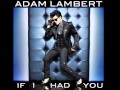 Adam Lambert If I Had You (For Your ...