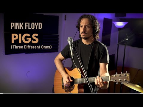 Pigs Three Different Ones - Pink Floyd