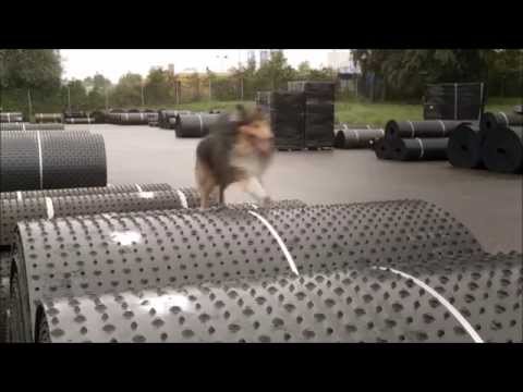 Huber-Technik. Follow the Cow Video (German) Manufacturer of worlds best cow comfort products.