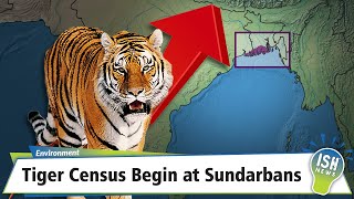 Tiger Census Begin at Sundarbans