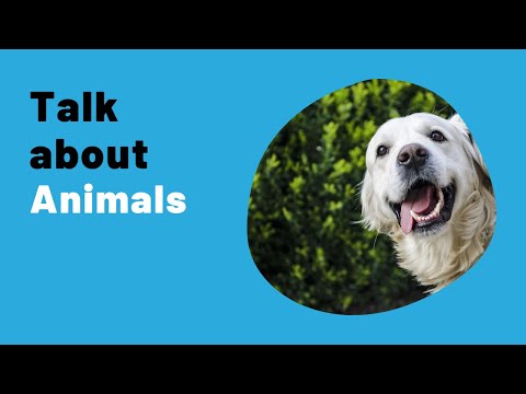 IELTS Speaking Practice Live Lessons - Topic ANIMALS