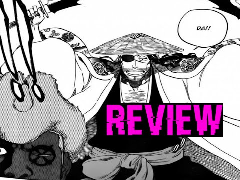 Shunsui in action!!!  Bleach 644 Manga Chapter ブリーチ Review