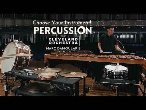 Choose Your Instrument! | Percussion