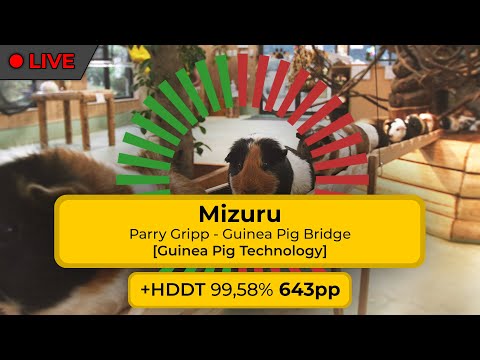 (LIVE) Mizuru | Parry Gripp - Guinea Pig Bridge [Guinea Pig Technology] +HDDT FC 99,58% 643pp #10