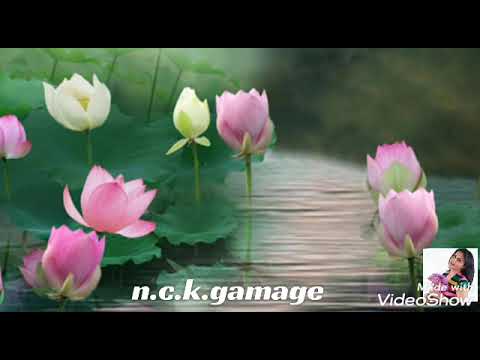 ❤️❤  මහත්තයෝ මන් දන්නවා නුබෙ කදුලක බර