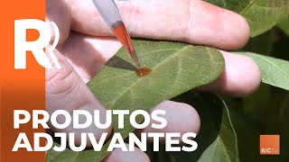 Miniatura do vídeo