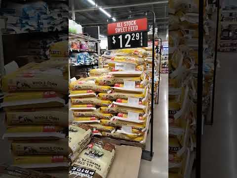 Tractor Supply Medford Wi