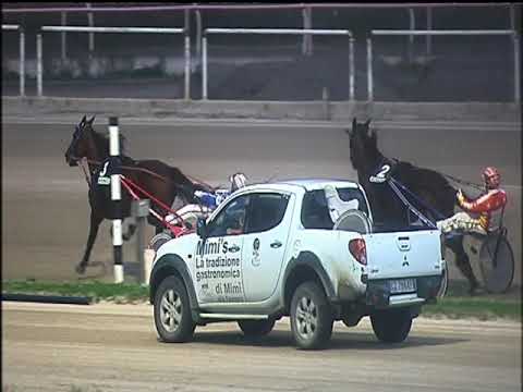 Trotto 22/11/2019 - 6ª corsa