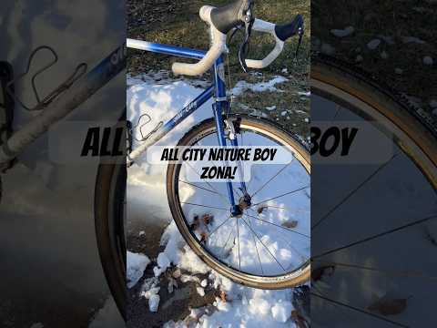 Holy grail bike, Nature Boy Zona! #bikebuild #partybrand #cyclocross #shorts