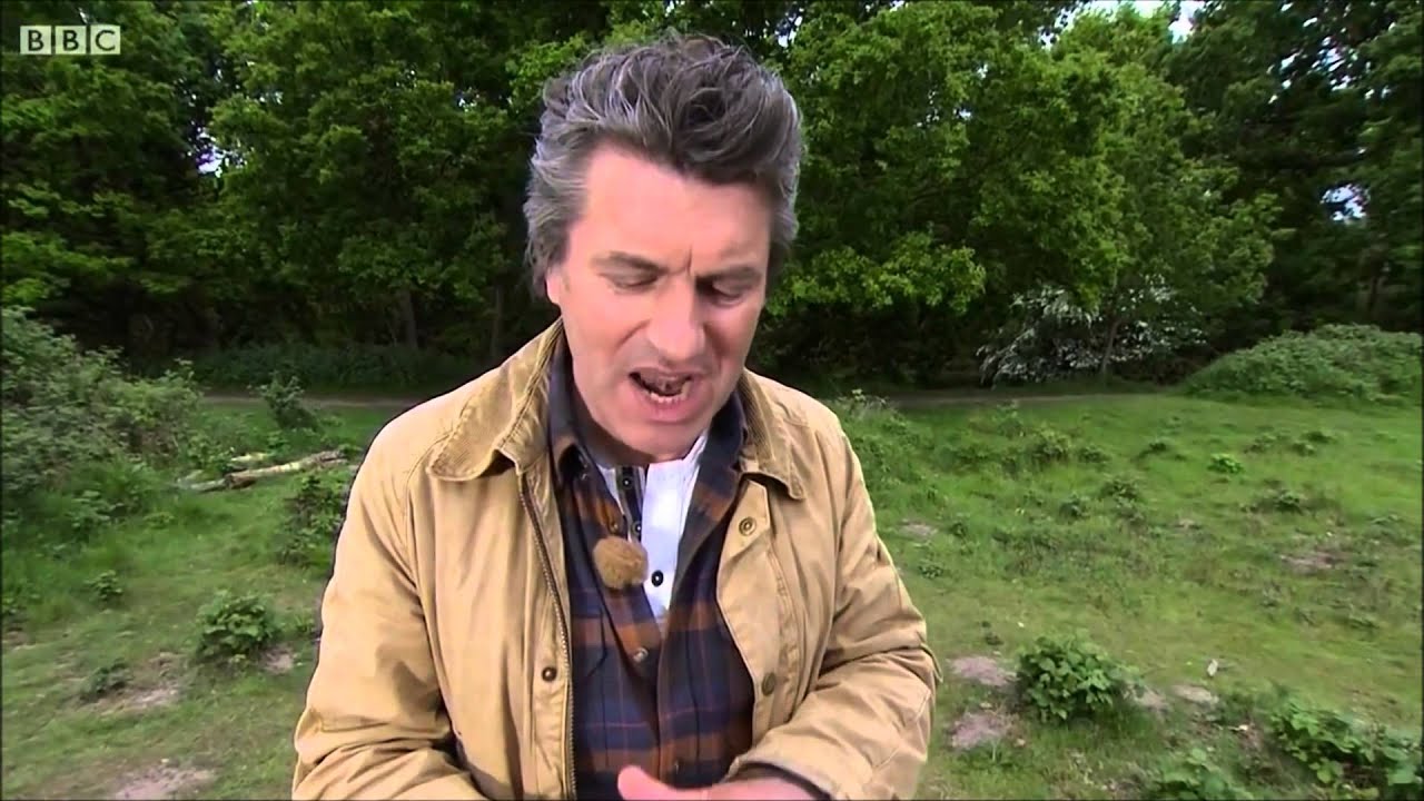 Adders on Springwatch (2015)