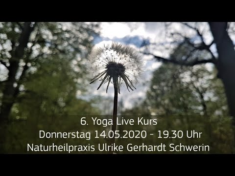 Yoga - Live Kurs #6 - 14.05.2020 - 19.30Uhr