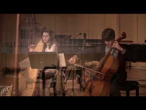 The Swan - Camille Saint-Saens: Angela Oancea and Stefan Iordachi