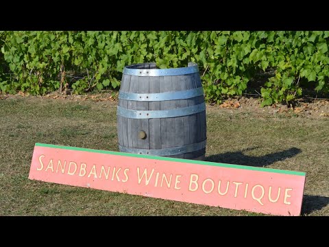 Sandbanks Winery Tour | What to do in Prince Edward County