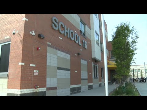 Paterson School Plan