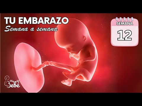 ❤️ Week 12 of Pregnancy 🤰 Symptoms, Tips, and Baby Development | Pregnancy Week by Week