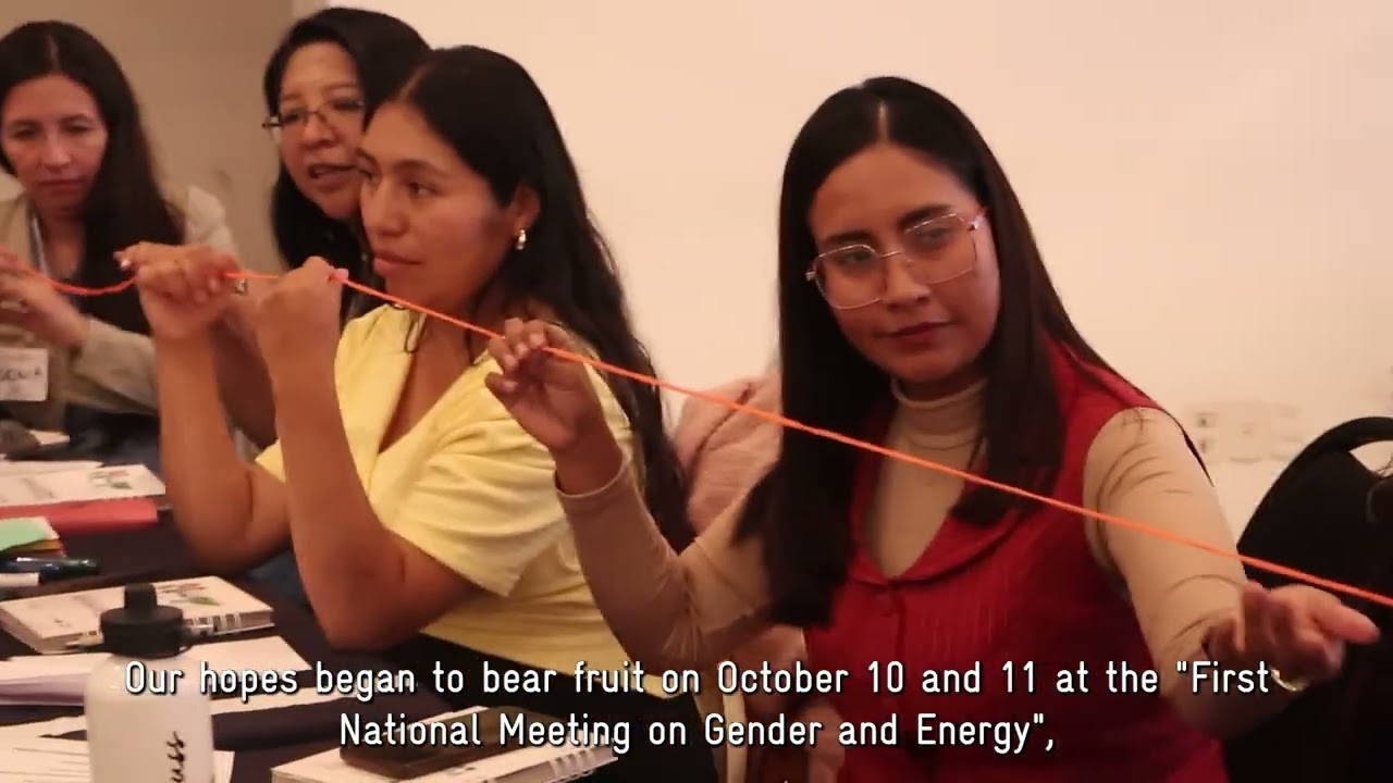Energía para la equidad: una propuesta de GIZ/ProTransición