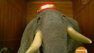 Elmo&#39;s World Quizzes - Up and Down