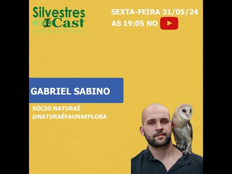 GABRIEL SABINO - NATURAE - PODCAST #5