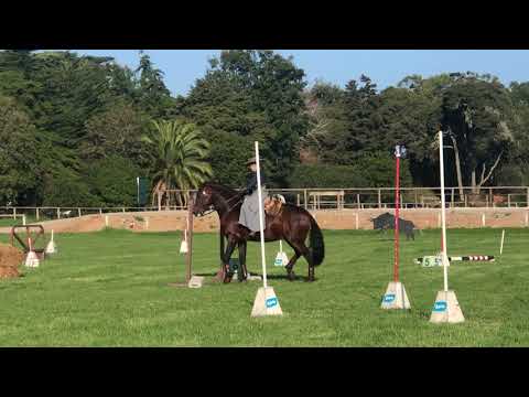 Nicole e Endiabrado - 1º Lugar Prova Velocidade