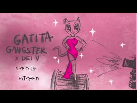 GATITA GANGSTER (Speed Up) - KAROL G, Dei V
