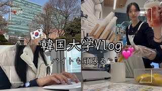 [韓国vlog]韓国大学生の日常🇰🇷カフェバイト☕