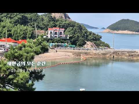 새만금의 모든 순간