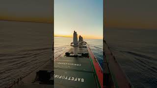 ship at calm sea #sealife  #ship #seaman #sailor #tamilvlog #seamantvlog #seamanship #tamil #kapal