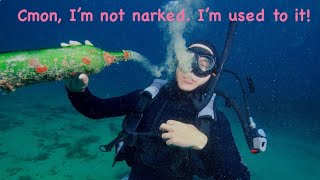 Can You Really Get Used to Nitrogen Narcosis? Dive Deep with Veronika Sievers!