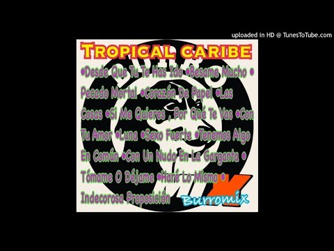 Tropical Caribe Mix (Burromix)