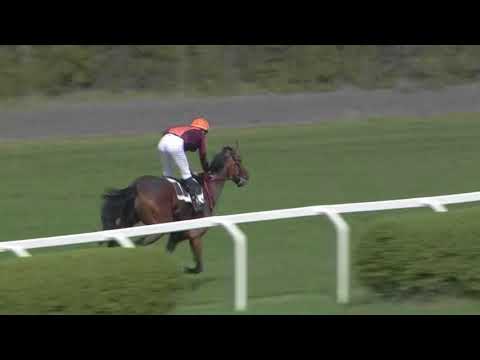 2. dostih (010206) CENA SÁZEK BETINO - Video záznam Velké dubnové ceny 2018 v Chuchli