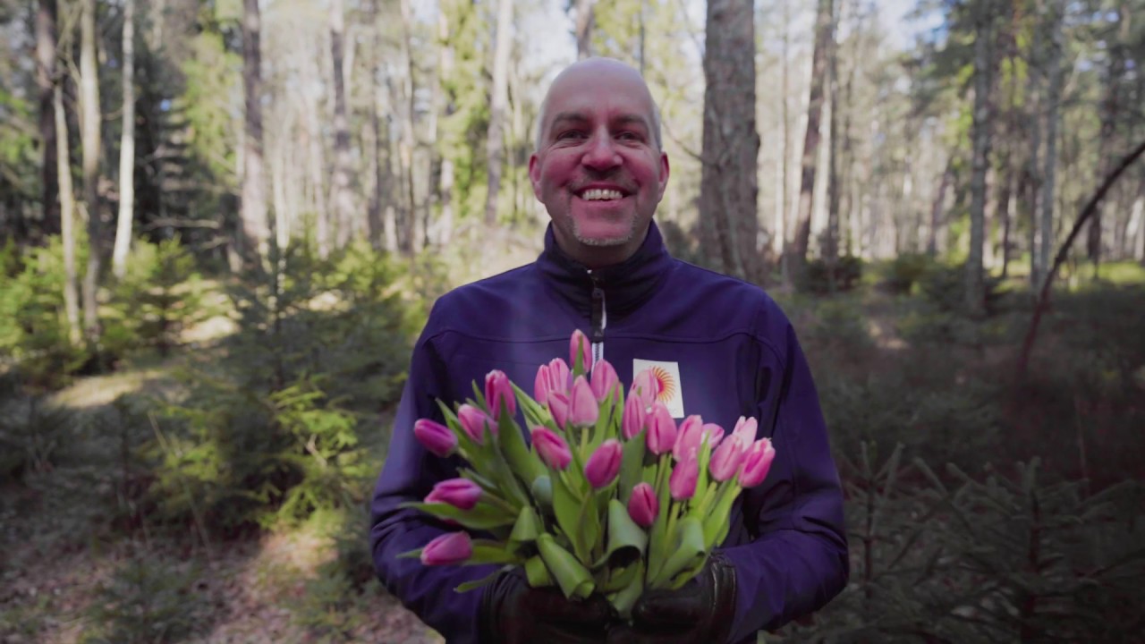 MWP 2020 Announcement