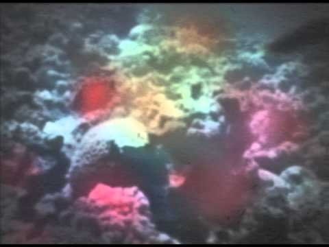 Video thumbnail for Dive