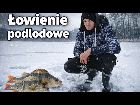 Ice fishing looking for perch, I dug 100 holes 😀 #fish