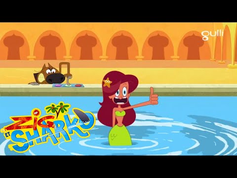 Zig & Sharko - En pleine forme (S02EP23) Épisode complet en HD