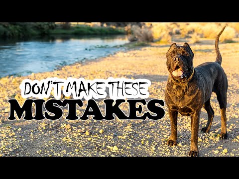 #PresaCanario 101 - Critical Information