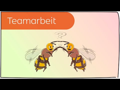 Teamwork in 3 Minuten erklärt