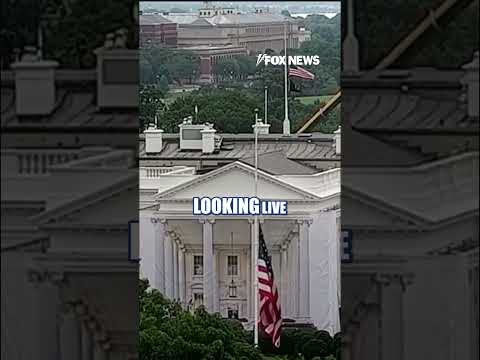 White House lowers flag to half-staff for Lindsey Graham #shorts #us #news #breakingnews