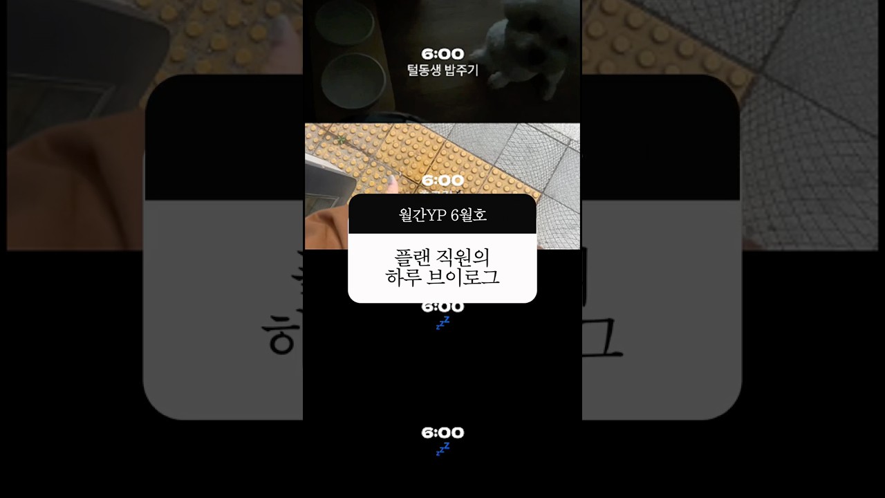 일 없냐 일 소개시켜줘야쥬 ㅋㅅㅋ | 월간YP