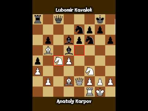 Anatoly Karpov vs Lubomir Kavalek ◉ Turin Tournament 1982 | High-Level Positional Draw