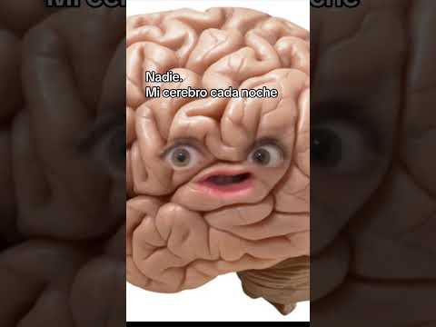 My brain every night 🧠🤣 #humor #comedy #brain