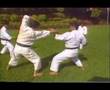 Bassai Sho Kenneth Funakoshi Inc Bunkai