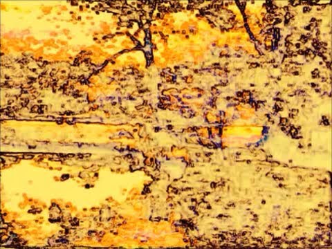 GREAT CHARITY SHOP FINDS No 6 - FRENCH FOLK MUSIC