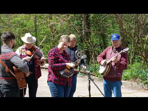 Comet Bluegrass All-Stars play "Foggy Mountain Breakdown" at Spring Fest in the Woods.