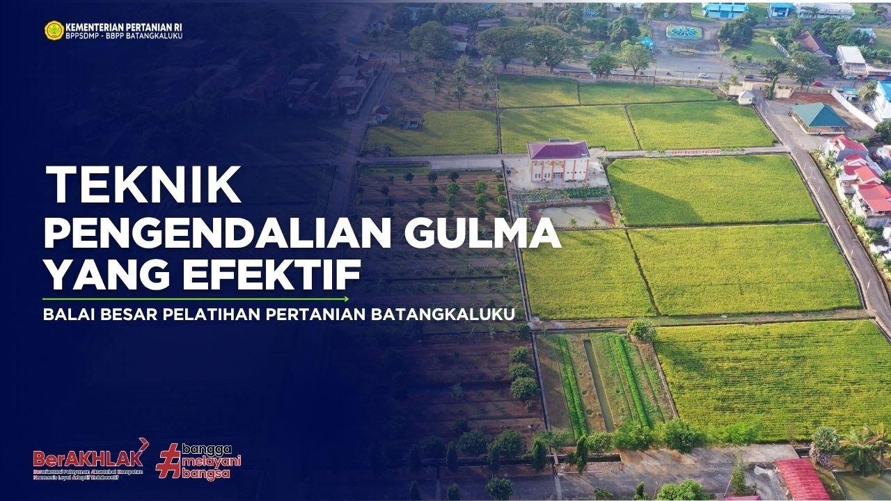 Teknik Pengendalian Gulma yang Efektif
