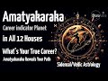 Amatyakaraka In All 12 Houses Vedic Astrology Secrets Of Career Karma Soul S Duty Astrology