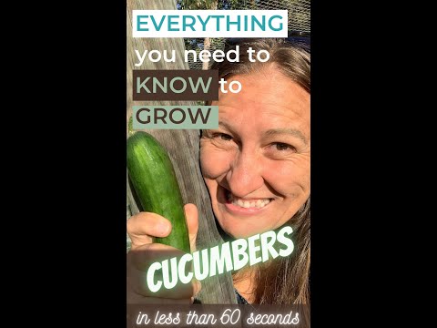 Everything you need to know to grow CUCUMBERS in less than 60 seconds!